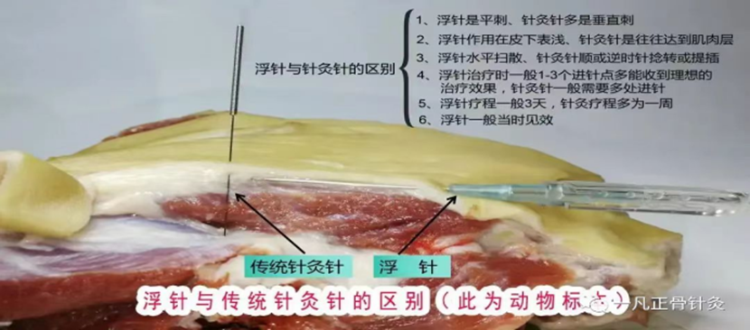 微信图片_20251025223623_111_2