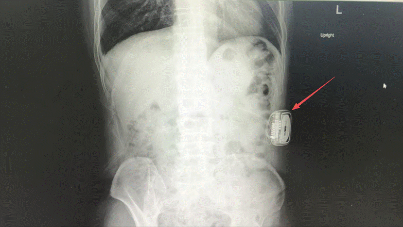 微信图片_2025-12-04_