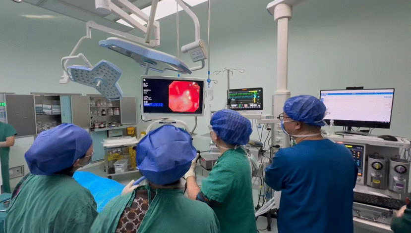 微信图片_20260107200215_266_290