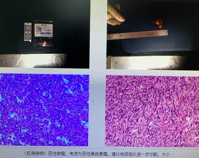 微信图片_20260226201415_415_7