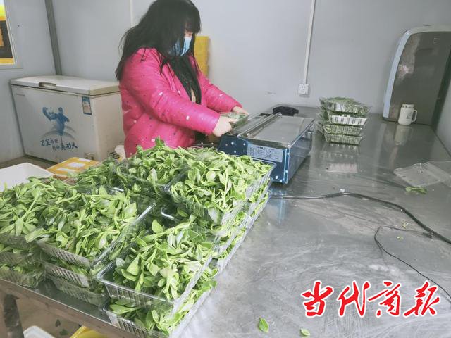 衡阳蒸湘区扎实做好"菜篮子"稳产保供工作