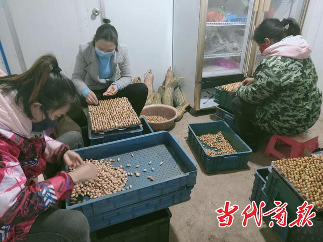 衡阳蒸湘区扎实做好"菜篮子"稳产保供工作