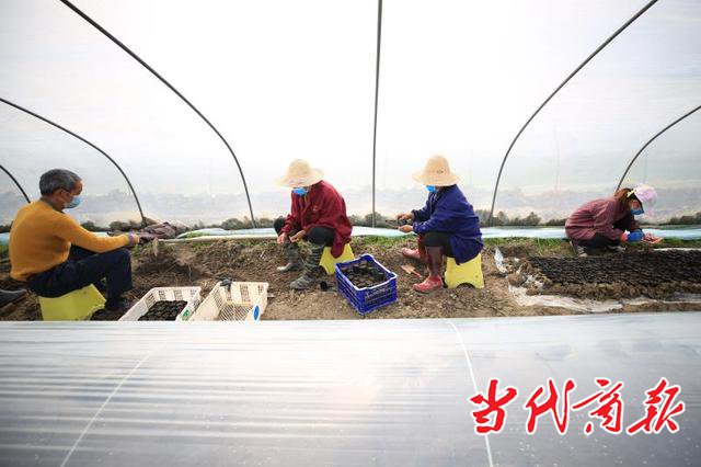 衡阳南岳春耕生产一派热闹景象