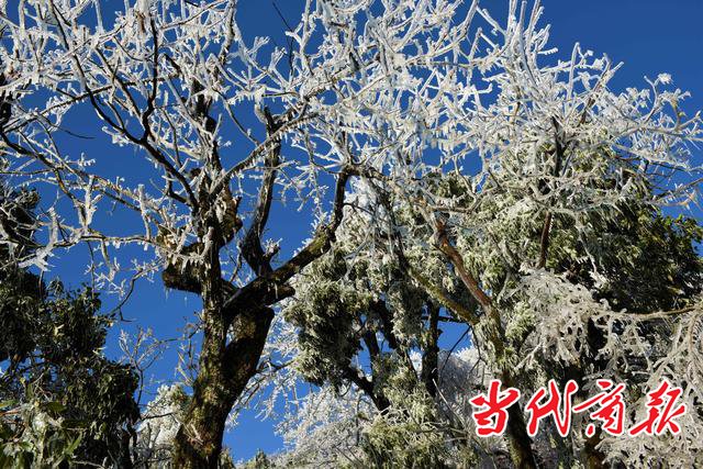 医护工作者、全湖北籍去南岳景区旅游享半价