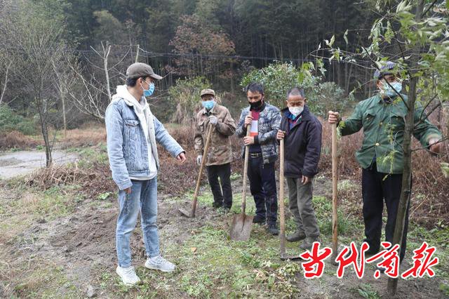 南岳:春风送暖造林忙,防疫生产双促进