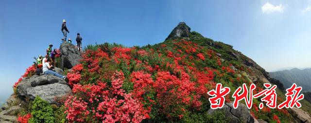 南岳衡山景区2月27日恢复开放
