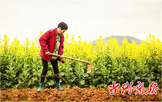 衡阳：蒸湘春晓 | 春回大地 流金溢彩