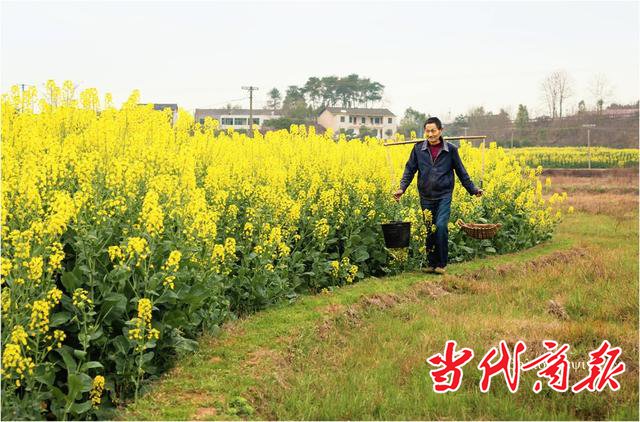 衡阳：蒸湘春晓 | 春回大地 流金溢彩