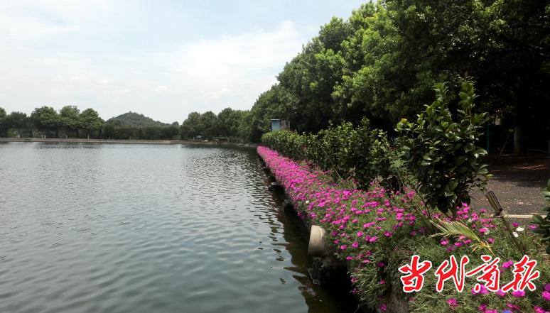 微信图片_20200727103237.png