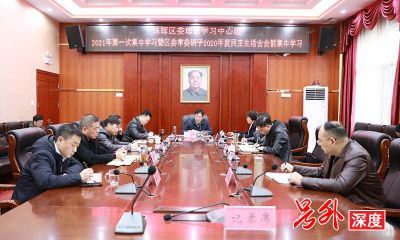 珠晖区：2021年第一次区委常委班子民主生活会会前学习