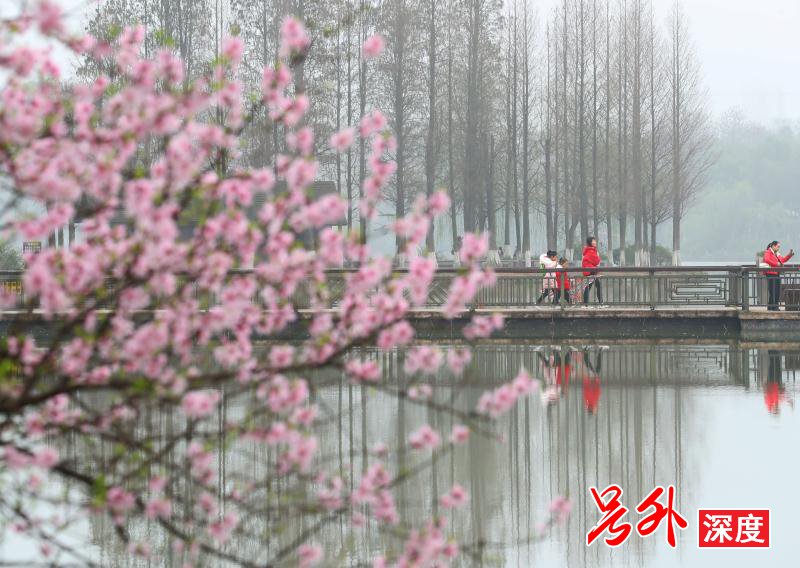 衡阳雁峰区：踏青赏花享春光