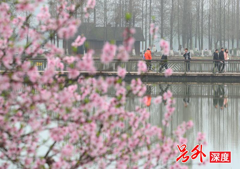 衡阳雁峰区：踏青赏花享春光