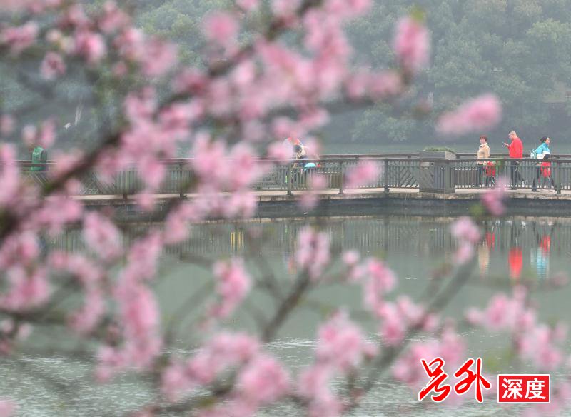 衡阳雁峰区：踏青赏花享春光