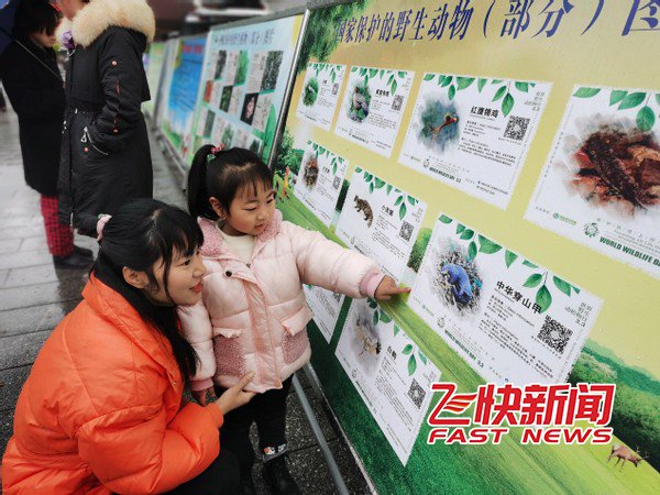 万物共生,南岳区开展“世界野生动植物日”宣传