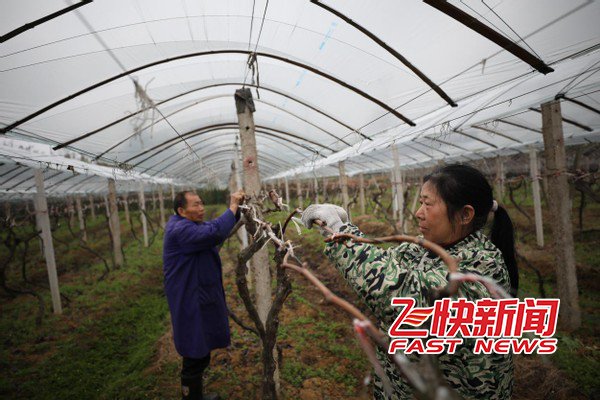 衡阳珠晖区:新一届村(社区)“两委”干部集中“加油”