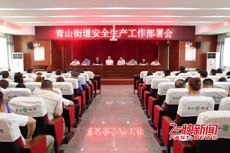衡阳市青山街道喜获首批省安全发展工作示范街道