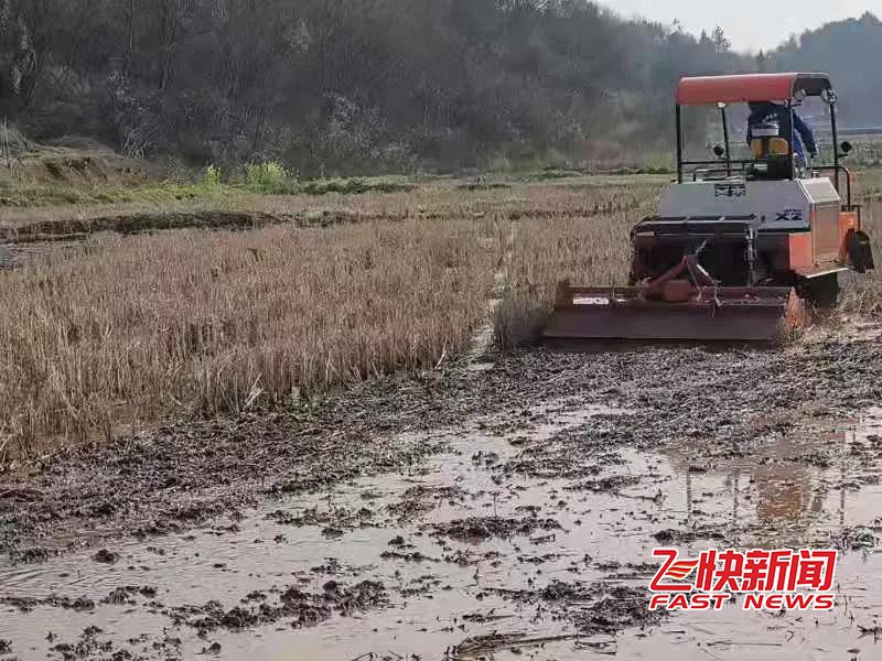 衡阳市雁峰区:开展农机安全检查,确保春耕安全无患