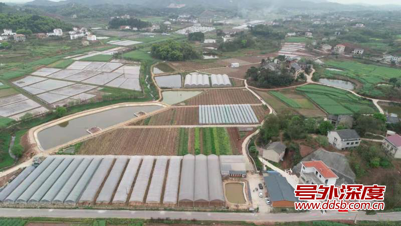环境美、产业兴、百姓富 衡阳蒸湘区乡村振兴带来乡村“巨变”