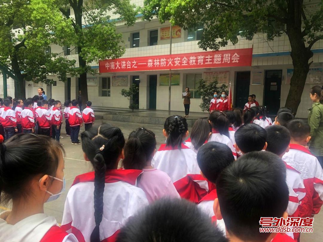 衡阳:雁峰区开展森林防火进校园系列活动