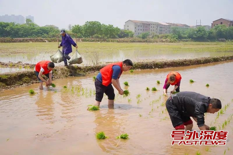 衡阳蒸湘区:党史学习教育点燃乡村振兴“新引擎”