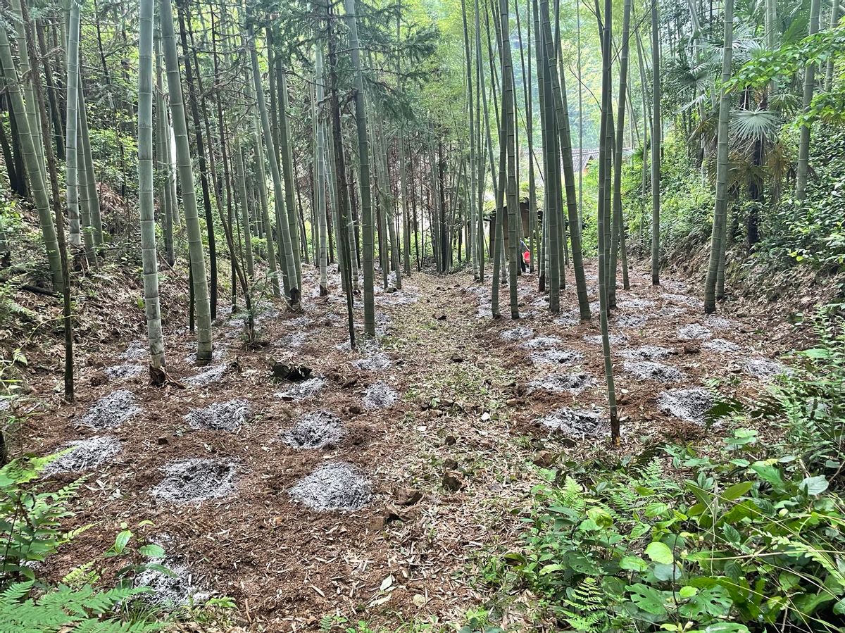 衡阳市商粮局驻村工作队与科研院所对接,走出产业发展新路子