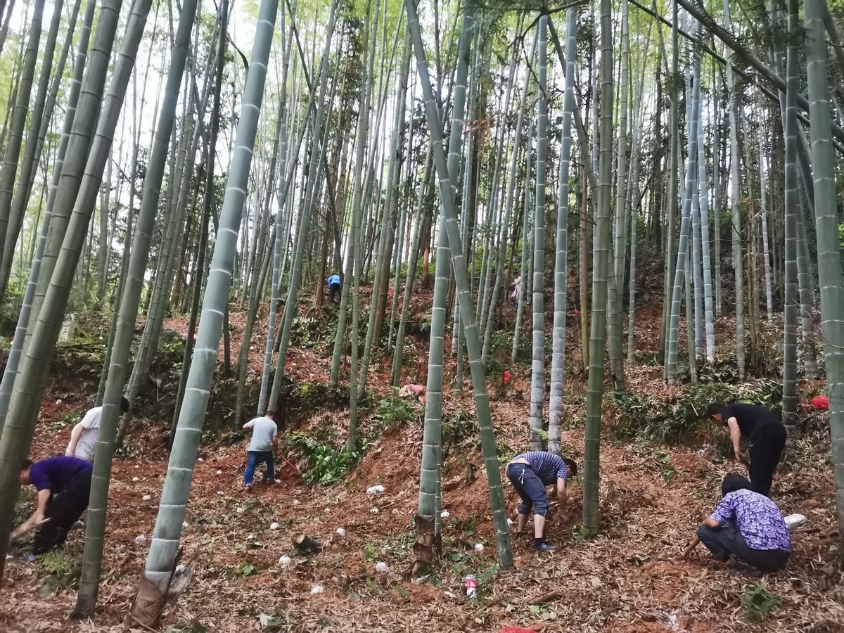 衡阳市商粮局驻村工作队与科研院所对接,走出产业发展新路子