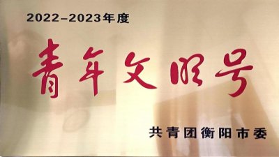 南华医院疼痛康复科荣获“衡阳市青年文明号集体”